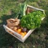 Panier de fruits et légumes